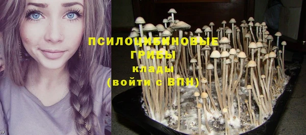 ECSTASY Алексин