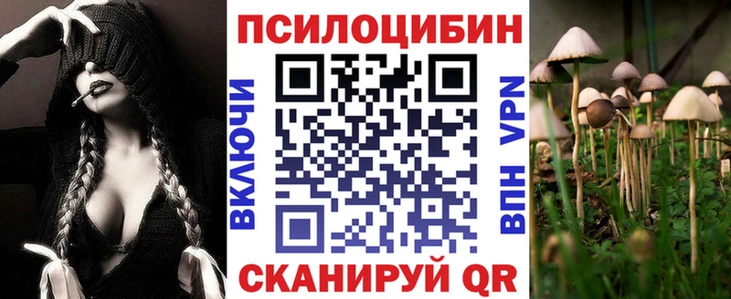 Псилоцибиновые грибы Psilocybine cubensis где продают наркотики Амурск