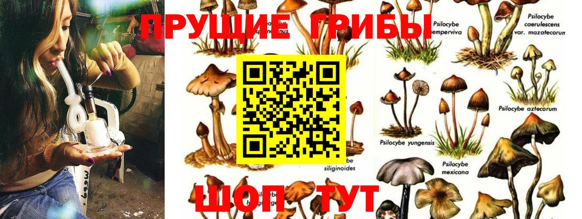 Галлюциногенные грибы Magic Shrooms  Галлюциногенные грибы ЛСД  дарнет шоп  Вход с VPN  Амурск 